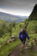 Galloway Forest dark Skys