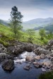 Galloway Forest dark Skys